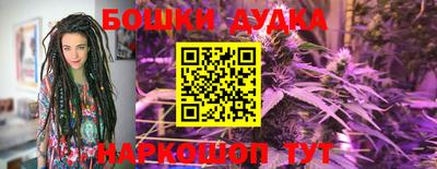 скорость Новодвинск